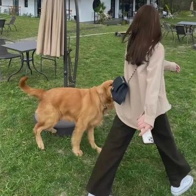 伦敦