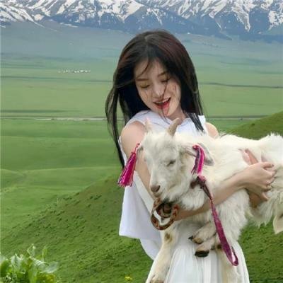 成年人的友谊