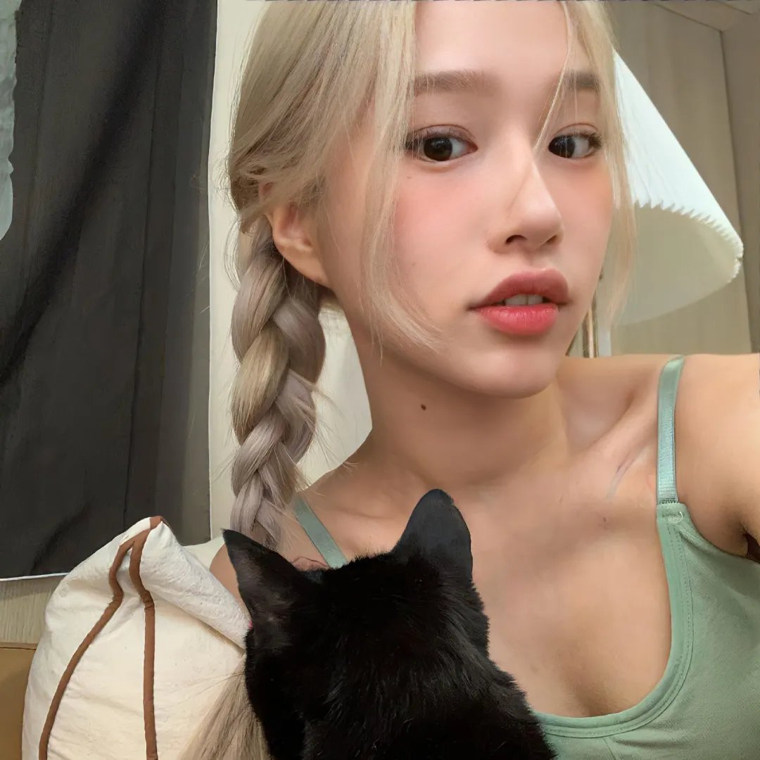 蔷薇处处香